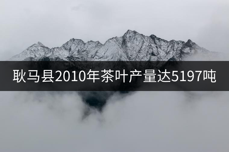 耿馬縣2010年茶葉產(chǎn)量達5197噸 耿馬縣2010年茶葉產(chǎn)量達5197噸