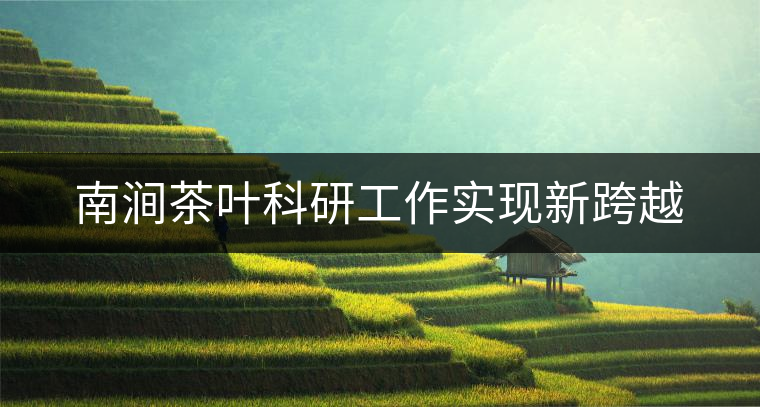 南澗茶葉科研工作實現(xiàn)新跨越 南澗茶葉科研工作實現(xiàn)新跨越