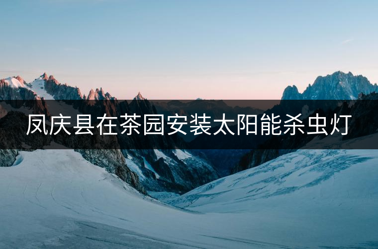 鳳慶縣在茶園安裝太陽(yáng)能殺蟲(chóng)燈 鳳慶縣在茶園安裝太陽(yáng)能殺蟲(chóng)燈