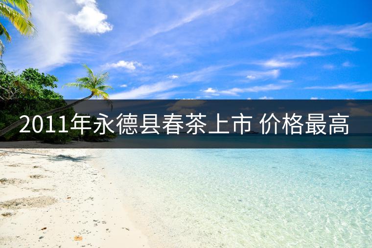 2011年永德縣春茶上市 價(jià)格最高同比增長140% 2011年永德縣春茶上市 價(jià)格最高同比增長140%