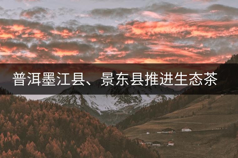普洱墨江縣、景東縣推進(jìn)生態(tài)茶園建設(shè)