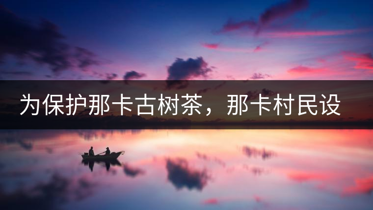 為保護(hù)那卡古樹茶，那卡村民設(shè)公約牌