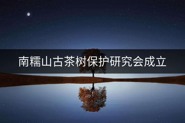 南糯山古茶樹(shù)保護(hù)研究會(huì)成立 南糯山古茶樹(shù)保護(hù)研究會(huì)成立