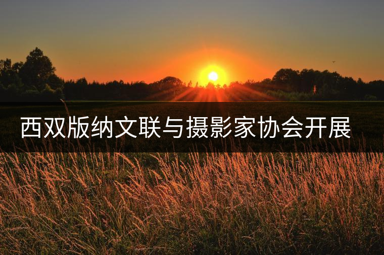 西雙版納文聯(lián)與攝影家協(xié)會開展走進(jìn)賀開古茶山采風(fēng)活動 西雙版納文聯(lián)與攝影家協(xié)會開展走進(jìn)賀開古茶山采風(fēng)活動