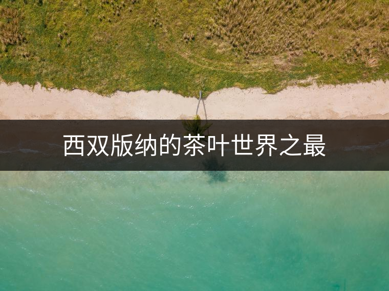 西雙版納的茶葉世界之最