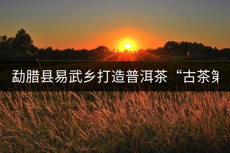 勐臘縣易武鄉(xiāng)打造普洱茶“古茶第一鎮(zhèn)” 勐臘縣易武鄉(xiāng)打造普洱茶“古茶第一鎮(zhèn)”