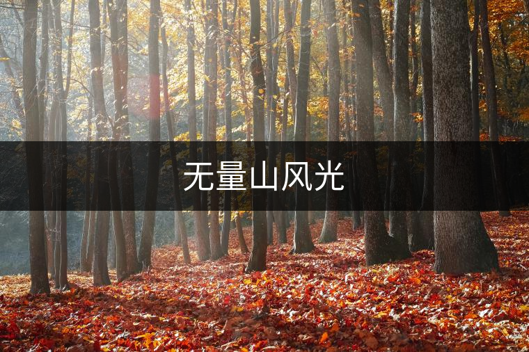 無量山風(fēng)光 無量山風(fēng)光