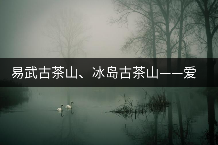 易武古茶山、冰島古茶山——愛茶人的旅游選擇