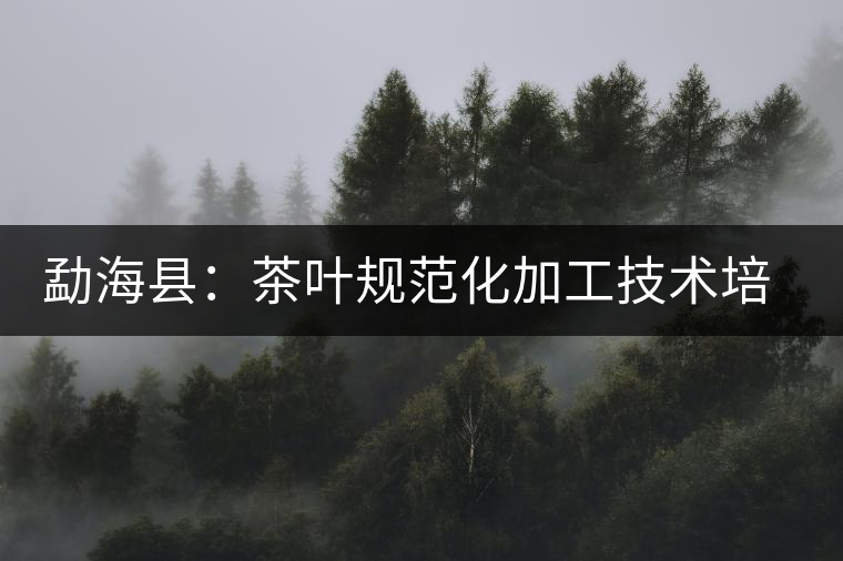 勐??h:茶葉規(guī)范化加工技術(shù)培訓(xùn) 勐??h:茶葉規(guī)范化加工技術(shù)培訓(xùn)