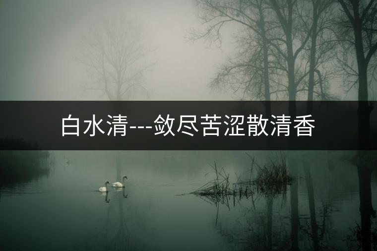 白水清---斂盡苦澀散清香 白水清---斂盡苦澀散清香