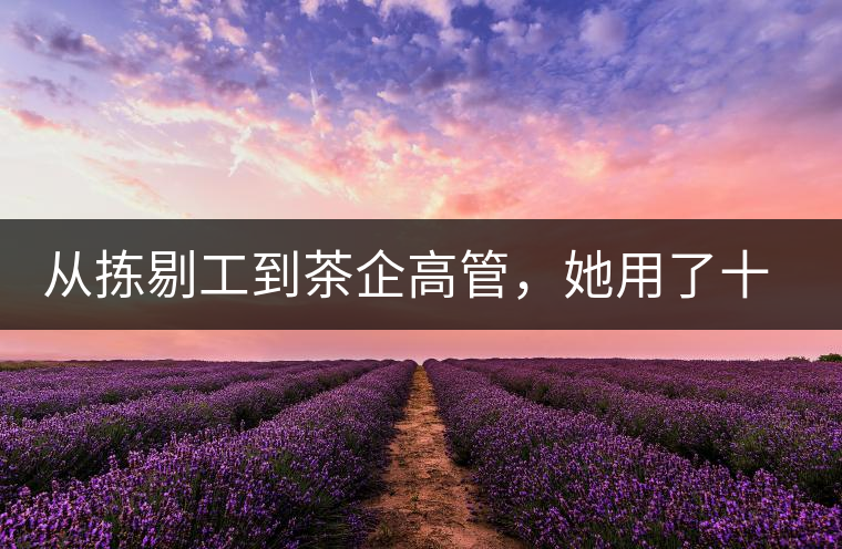 從揀剔工到茶企高管，她用了十年時間