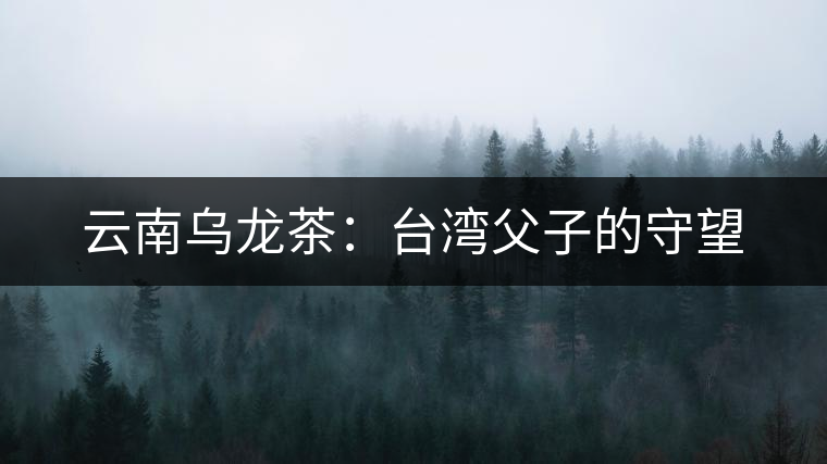 云南烏龍茶：臺(tái)灣父子的守望