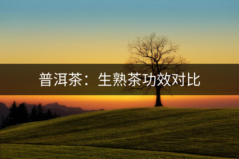 普洱茶:生熟茶功效對(duì)比 普洱茶:生熟茶功效對(duì)比