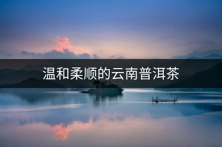 溫和柔順的云南普洱茶 溫和柔順的云南普洱茶