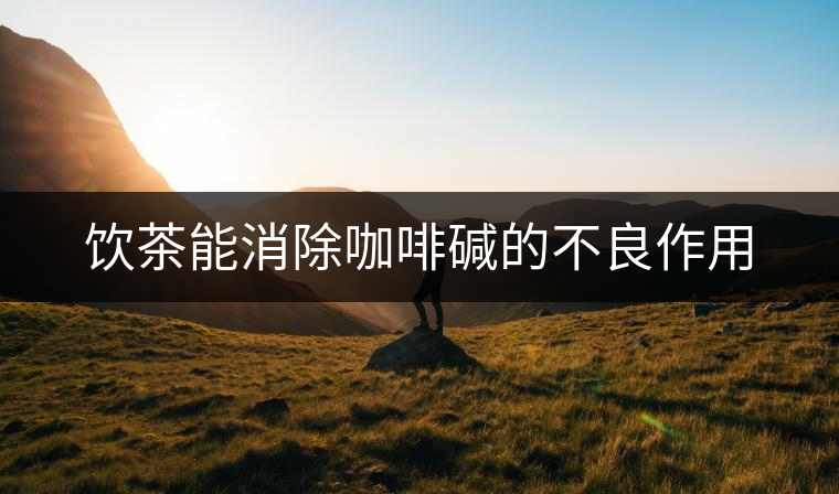 飲茶能消除咖啡堿的不良作用 飲茶能消除咖啡堿的不良作用