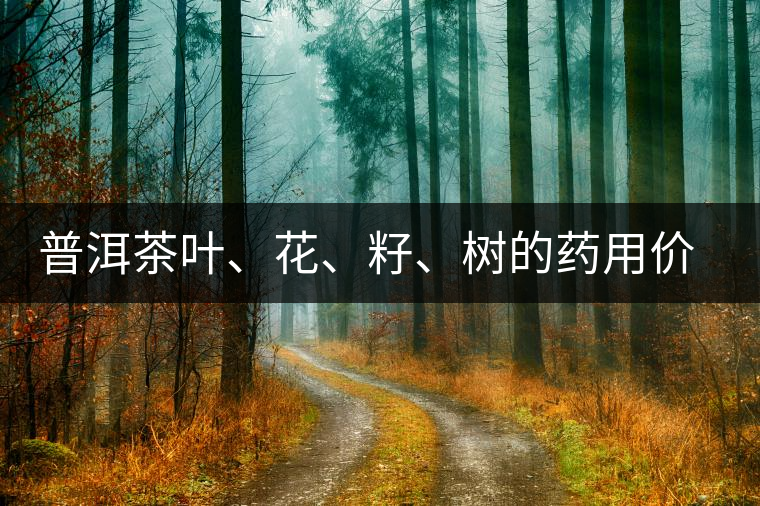 普洱茶葉、花、籽、樹的藥用價值