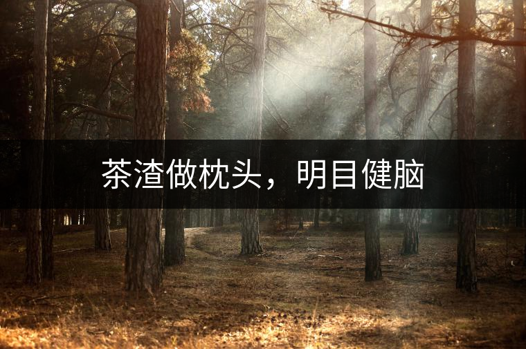 茶渣做枕頭，明目健腦