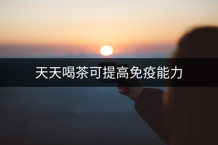 天天喝茶可提高免疫能力 天天喝茶可提高免疫能力