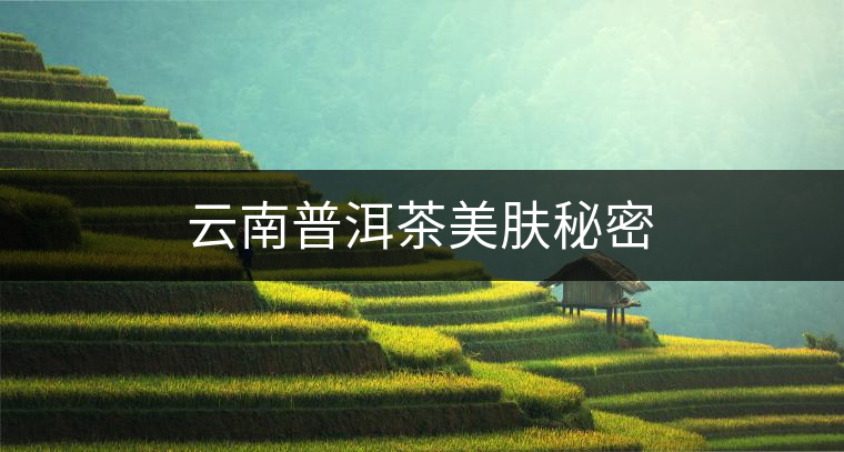 云南普洱茶美膚秘密 云南普洱茶美膚秘密
