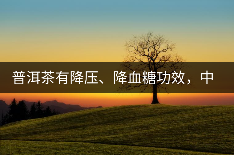普洱茶有降壓、降血糖功效，中老年人不再懼怕糖尿病