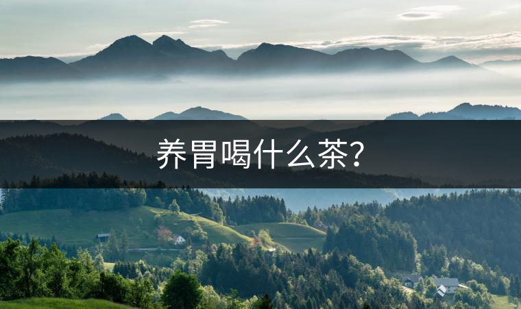 養(yǎng)胃喝什么茶？