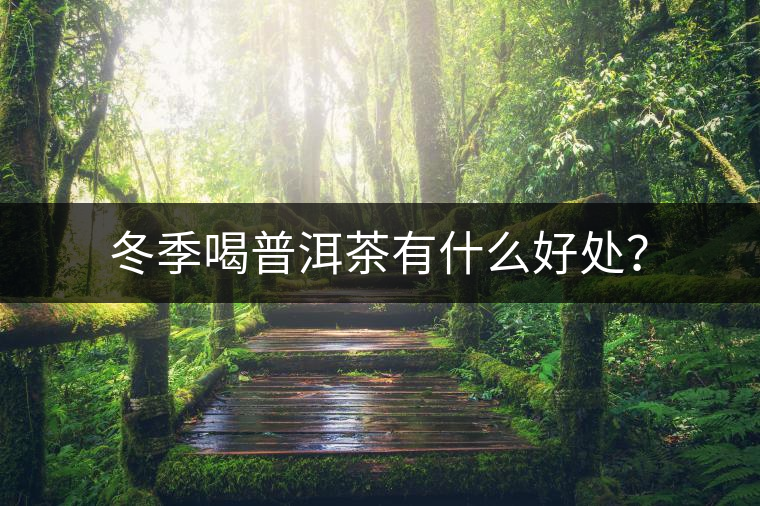 冬季喝普洱茶有什么好處？