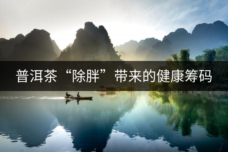 普洱茶“除胖”帶來的健康籌碼 普洱茶“除胖”帶來的健康籌碼