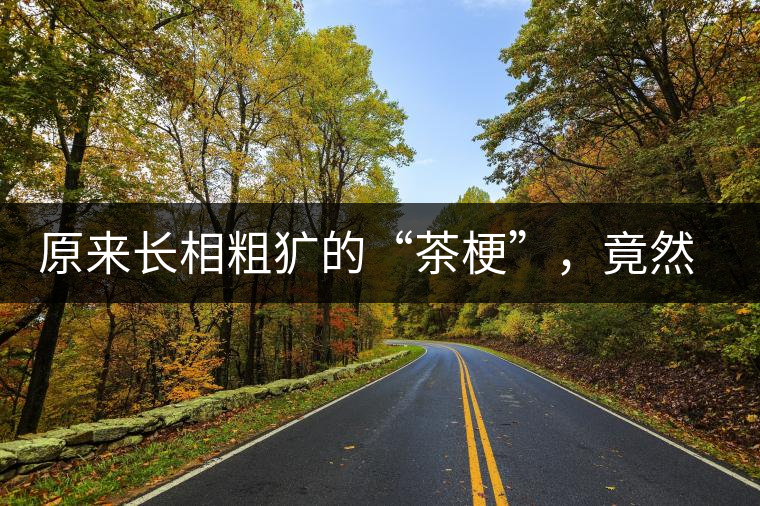 原來長(zhǎng)相粗獷的“茶?！?，竟然還有這么多的作用