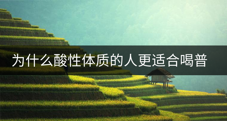 為什么酸性體質(zhì)的人更適合喝普洱茶？