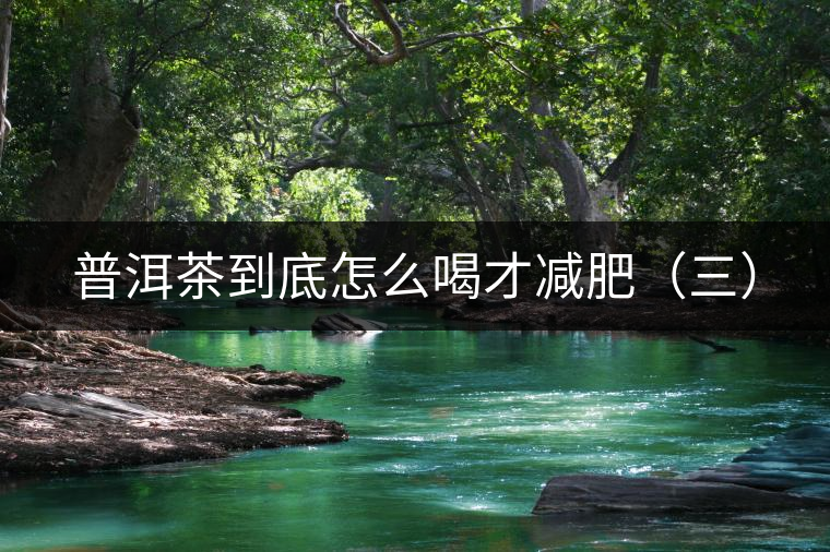 普洱茶到底怎么喝才減肥（三）