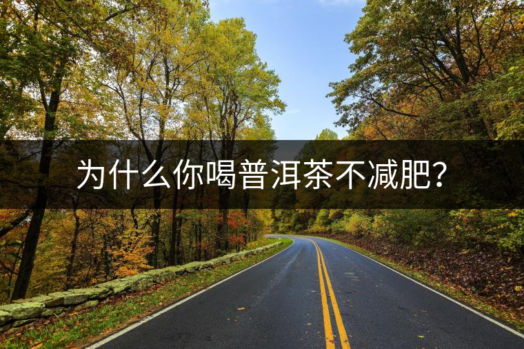 為什么你喝普洱茶不減肥？