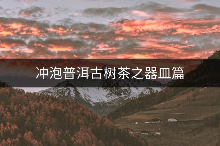 沖泡普洱古樹茶之器皿篇 沖泡普洱古樹茶之器皿篇