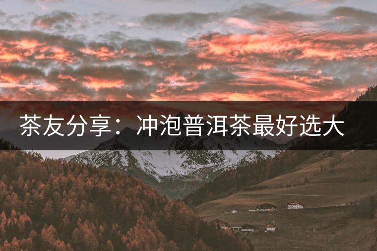 茶友分享:沖泡普洱茶最好選大壺 茶友分享:沖泡普洱茶最好選大壺