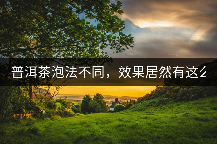 普洱茶泡法不同，效果居然有這么大區(qū)別！