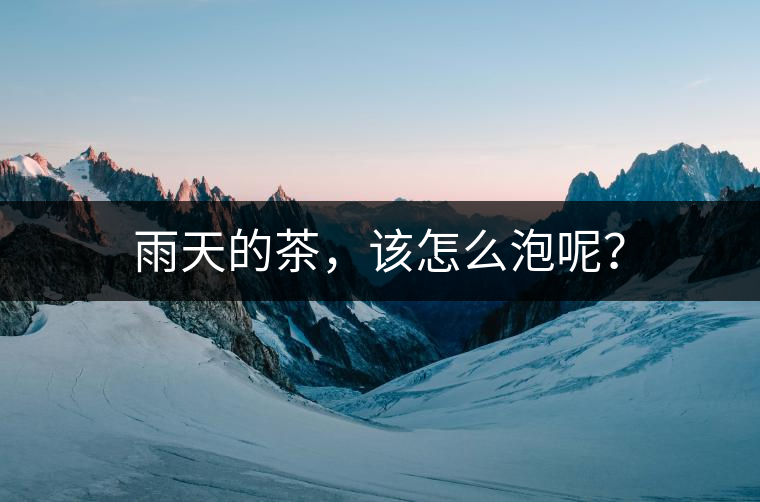 雨天的茶，該怎么泡呢？