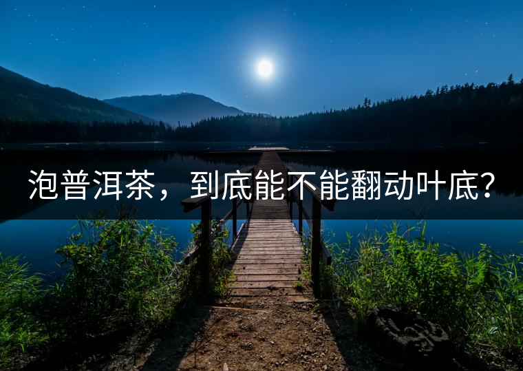 泡普洱茶，到底能不能翻動(dòng)葉底？