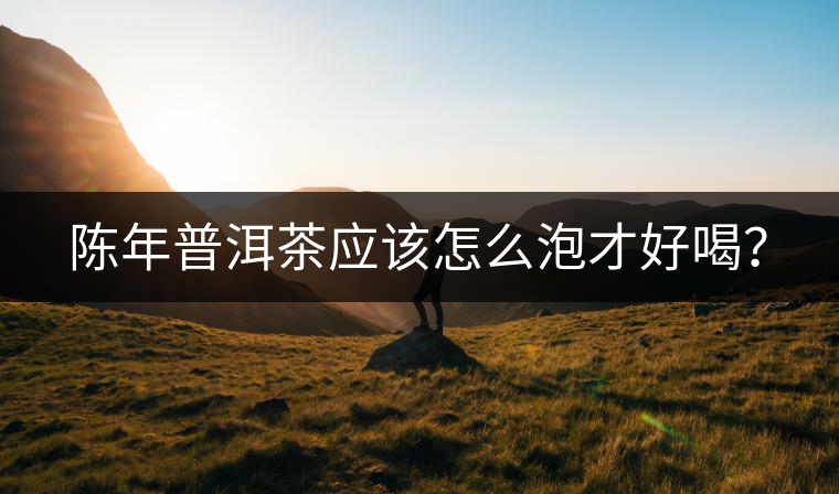 陳年普洱茶應該怎么泡才好喝？