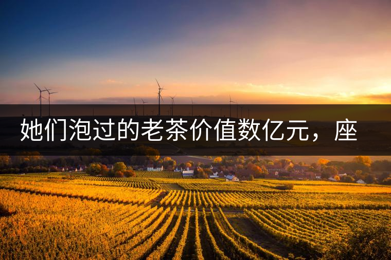 她們泡過的老茶價值數(shù)億元，座上賓是余秋雨、李云迪……