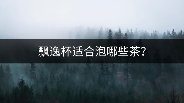 飄逸杯適合泡哪些茶？