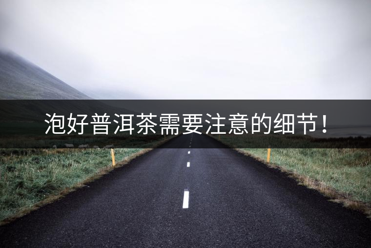 泡好普洱茶需要注意的細(xì)節(jié)！