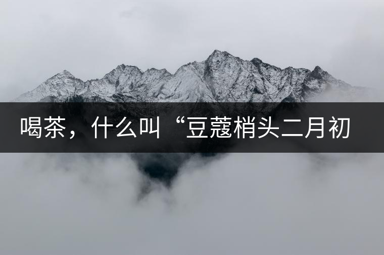 喝茶，什么叫“豆蔻梢頭二月初”？