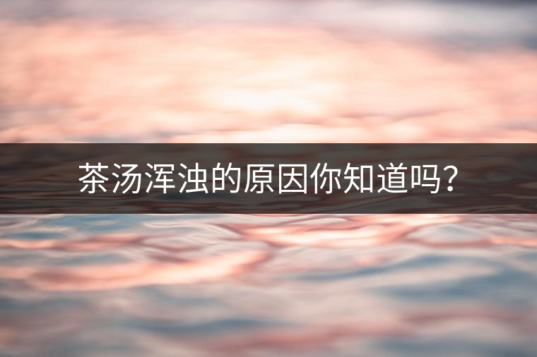 茶湯渾濁的原因你知道嗎？