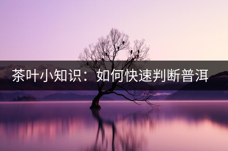 茶葉小知識：如何快速判斷普洱茶品級高低？