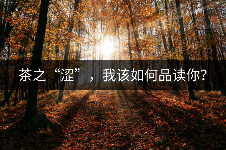 茶之“澀”，我該如何品讀你？