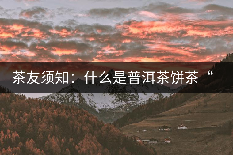 茶友須知：什么是普洱茶餅茶“八病”？如何鑒別？