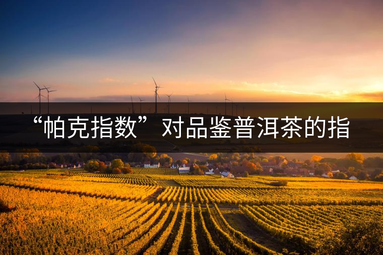 “帕克指數(shù)”對(duì)品鑒普洱茶的指導(dǎo)意義在哪里？「跨界有道」