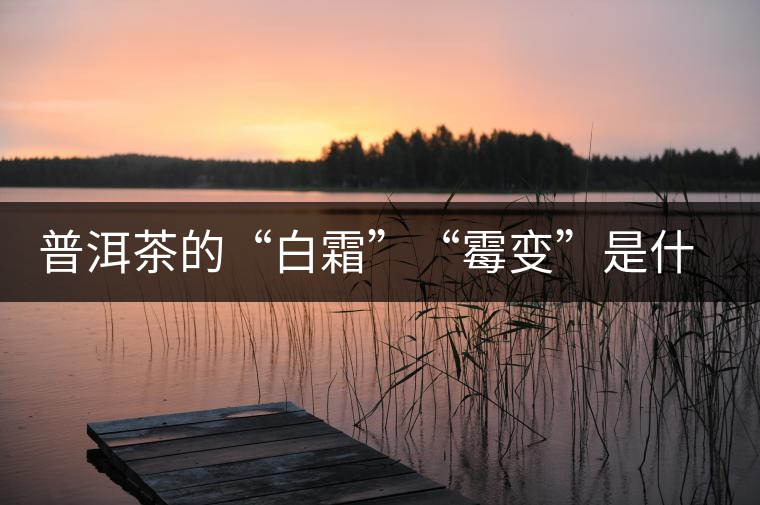 普洱茶的“白霜”“霉變”是什么鬼？