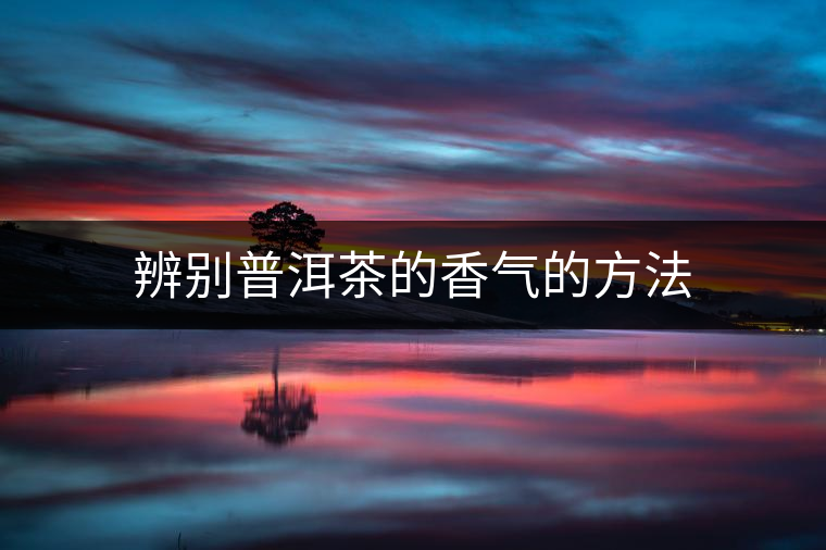 辨別普洱茶的香氣的方法