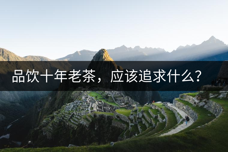 品飲十年老茶，應(yīng)該追求什么？滋味還是故事？