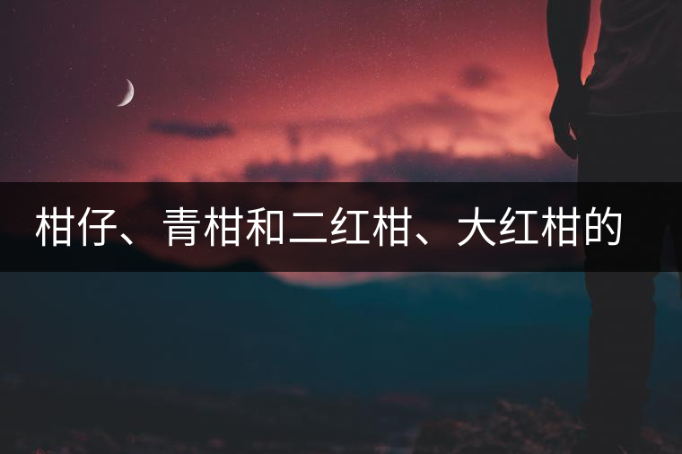 柑仔、青柑和二紅柑、大紅柑的區(qū)別，你可知道？